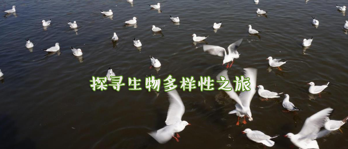 生物多样性(1).jpg