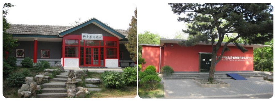 中心组合.jpg