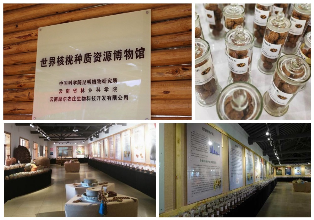 博物馆拼图.jpg