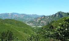 文章附图