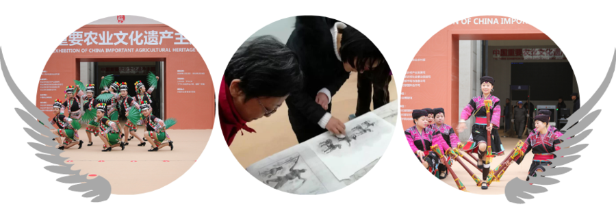舞蹈节目组合.png/