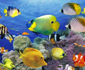 海洋生物与生态环境大连4日研学路线